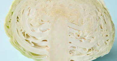 Кочан капусты