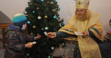 Резидениця Николая