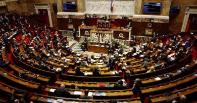Правительство Франции