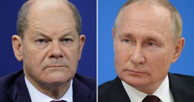 Шольц, Путин