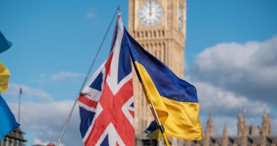Флаги Украины и Британии